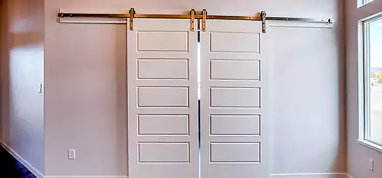 Glass Barn Door with Installation Hardware Kit North Highlands